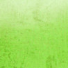 Sachet COULEUR 8 VERT ANIS